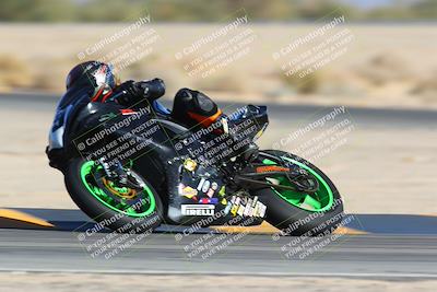 media/Jan-14-2024-SoCal Trackdays (Sun) [[2e55ec21a6]]/Turn 4 Tree of Life (155pm)/